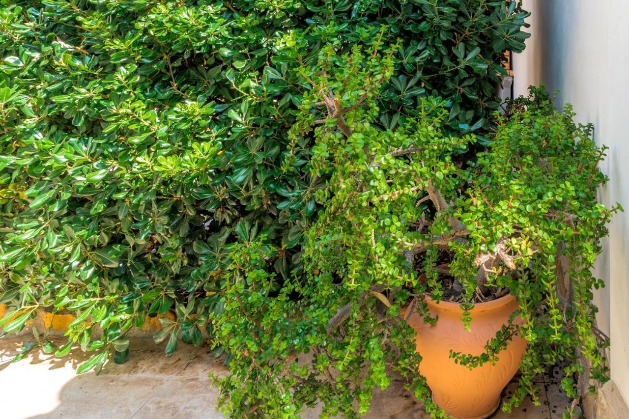 Maryvilla Inspiracion Y Vacaciones - Villa Mascarat Κάλπε Εξωτερικό φωτογραφία