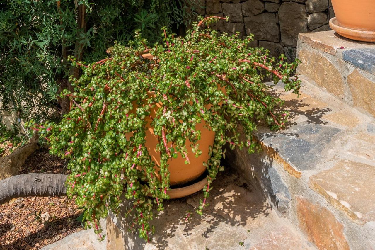 Maryvilla Inspiracion Y Vacaciones - Villa Mascarat Κάλπε Εξωτερικό φωτογραφία